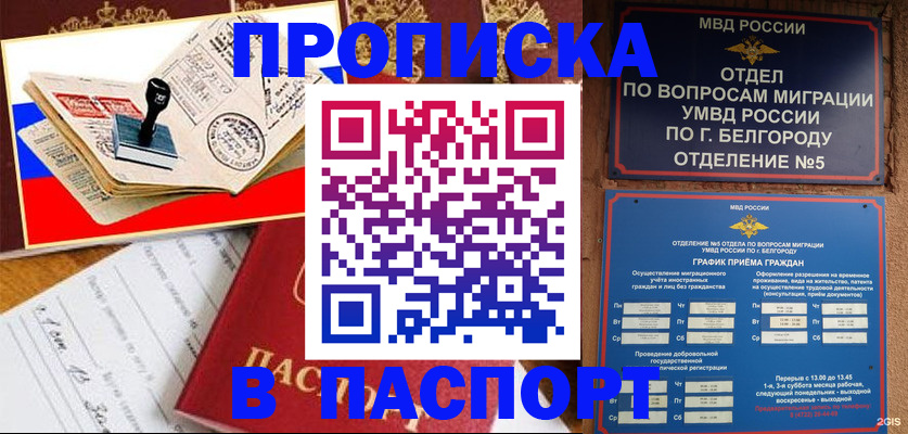 купить прописку в Куртамыше